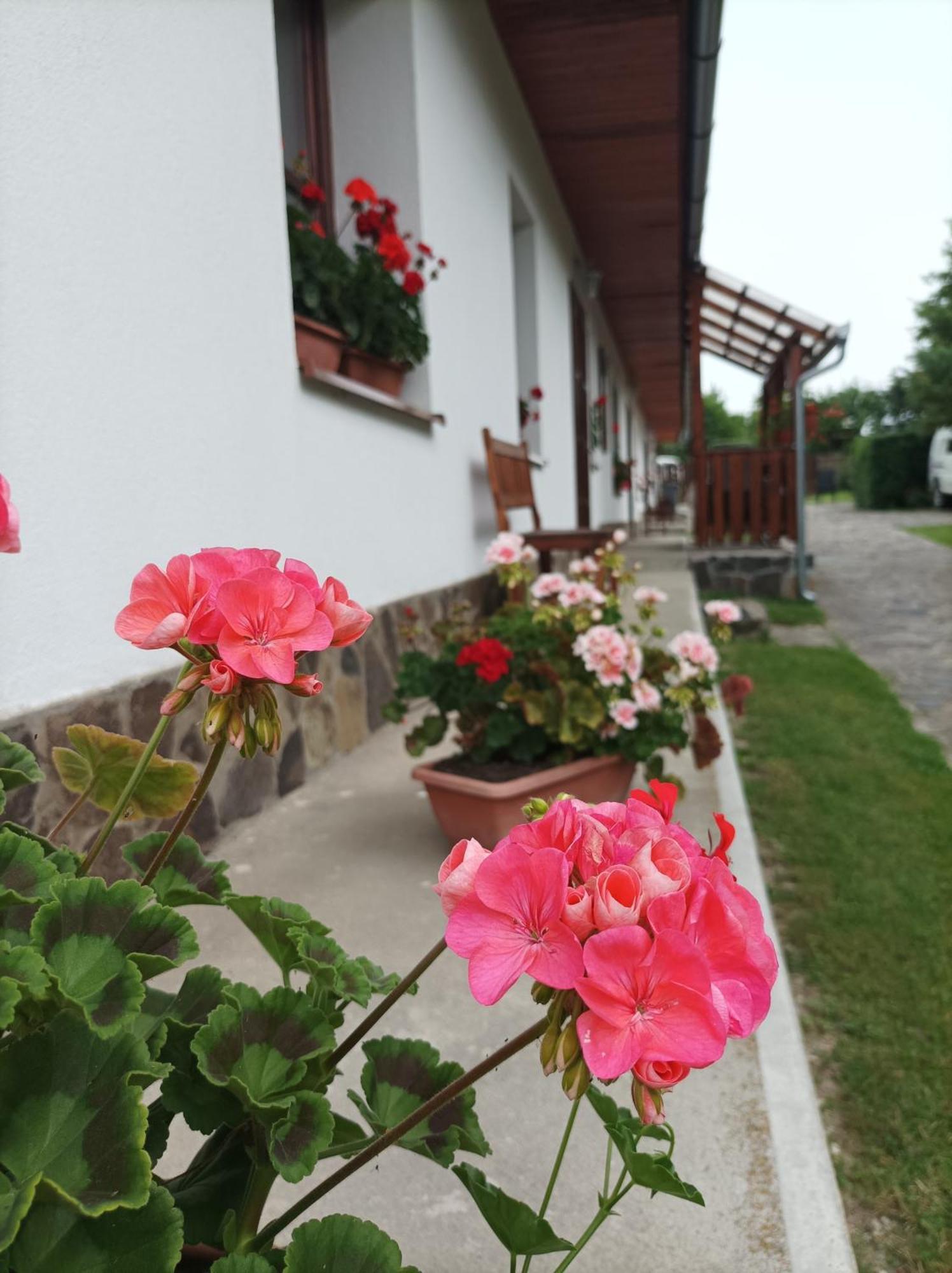 Kemences Vendeghaz Hotell Mikohaza Exteriör bild